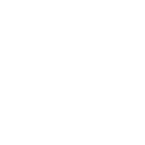 Magnifying icon